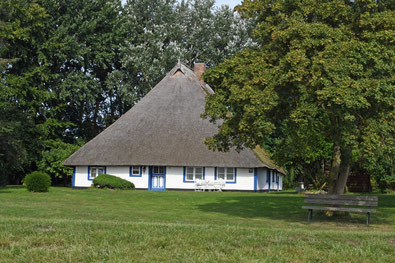 Am Waldrand steht ein großes, altes Fischerhaus mit einem steilen reetgedeckten Dach. 