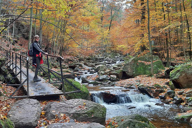 Eine Wandererin steht im Herbstwald auf einer Eisenbrücke, die über einen Fluss führt.