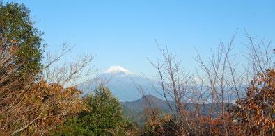 城山山頂より