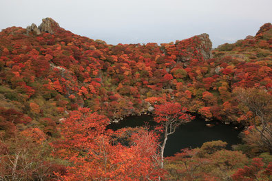 御池の紅葉