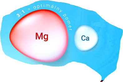 Grafik Verhältnis Magnesium zu Calcium.png
