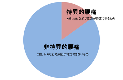 腰痛には医学的に原因を特定できる特異的腰痛と特定できない非特異的腰痛があり、非特異的腰痛が８割以上を占めます