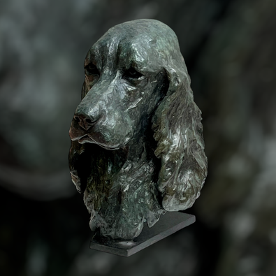 Couleurs non contractuelles