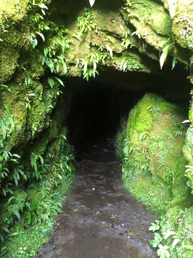 Tartare tunnel 