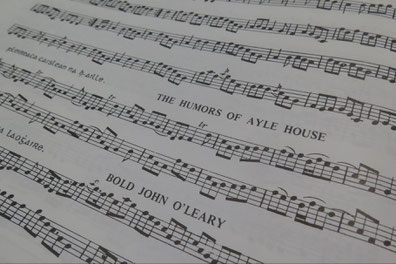 The Humours of Ayle House