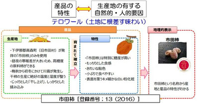 図3 テロワールの概念と三者（生産地、特性、地理的表示）の関係（拡大）