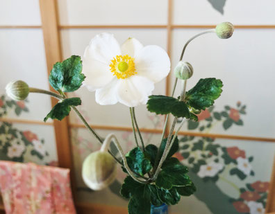 癒しの和エステ「心美」のおもてなし、秋の花「シュウメイギク」