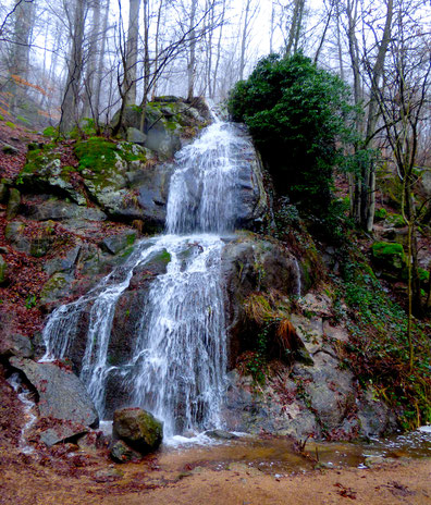 Fallbach Wasserfall-Wandern-Natur-Travelday