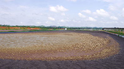 POME - aprovechamiento de aguas residuales producción de aceite de palma africana para la producción de biogás y energía - Aqualimpia Engineering