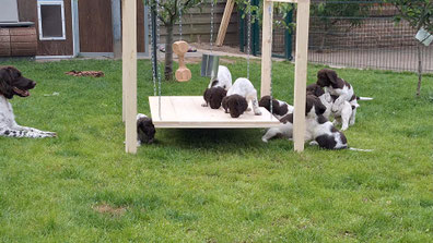 Wackelbrett mit Spielzeug