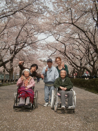 『桜のトンネルとじゅうたん』を独り占め。今年も出会えてよかった。