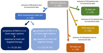 Ein Pfaddiagramm zeigt das Vorgehen einer Datenanalyse der Medizinischen Universität Wien. Von 383 CFS-Patienten zeigten 285 Anzeichen für eine Mastzellbeteiligung, während 72 die Kriterien für eine MCAS-Diagnose erfüllten.