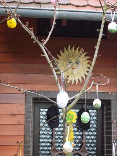 Die Sonne begrüßt den Tag in der Schwanenwiese