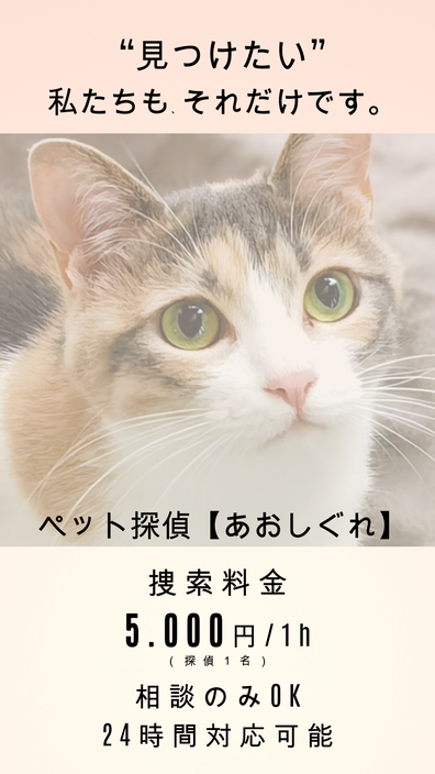 ペットの捜索料金表