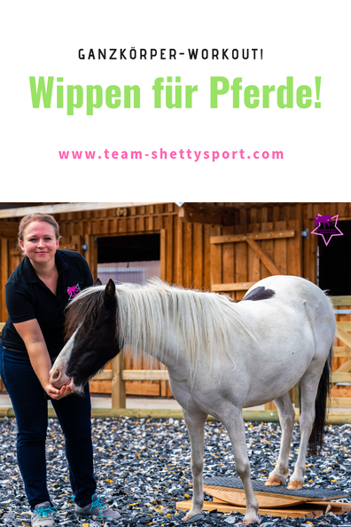 Mit Humor ans Ziel - das gilt auch für Pferdwippen! Hier in der Variante Hinterhandwippe.