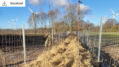 Knickbau © A. Jannasch