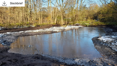 Kleingewässer © A. Jannasch