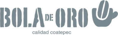 Logo Bola de Oro