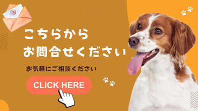 ドッグズハート犬との暮らし方教室のお問い合わせメールフォームはこちら