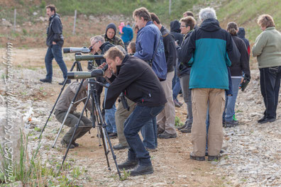Spektive im Einsatz (Foto: Th. Bergmann)
