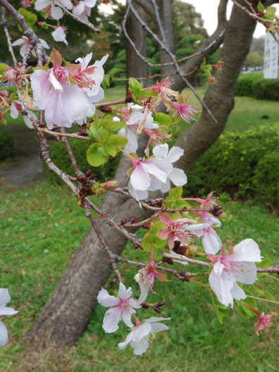 撮影　こども自然公園にて