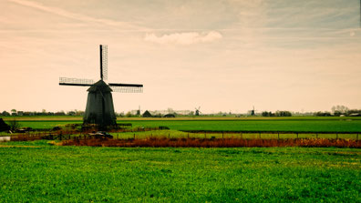 Weitläufige Landschaft im Gelderland