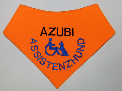 Azubi, Halstuch, Neongelb, Assistenzhund, leuchtorange, Rollstuhl
