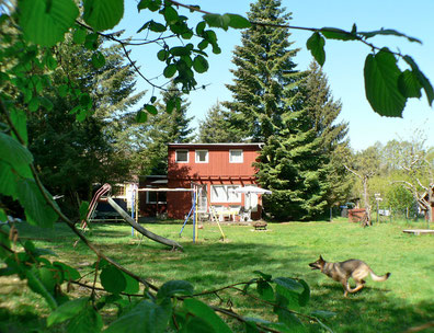 Urlaub mit Hunden MV, Ferienhaus mit Zwinger, Wald am See eingezäuntes Grundstück