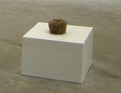 Objekte Kunst Berlin Lucia Fischer Haare 