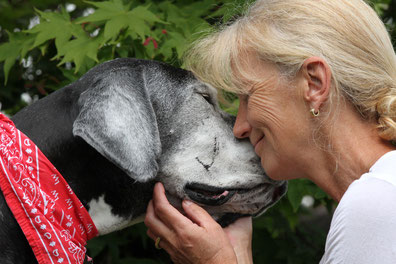 Hundefotografie Hundfotograf Hund Hunde Fotoshooting Preise Preisliste Konditionen