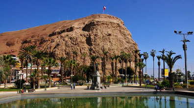 - Arica -