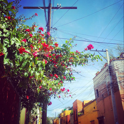 Beautiful impressions of San Miguel de Allende