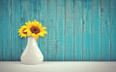 Sonnenblumen in einer Vase haben kein Trauma