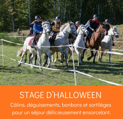 Equitation à poney et cheval, stage Halloween aux Grilles