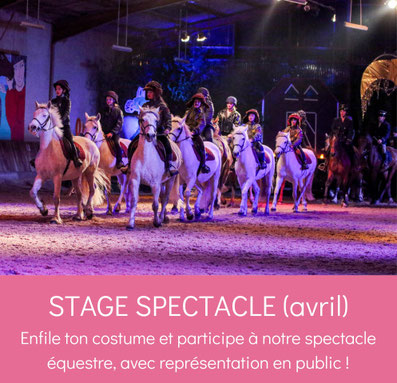 Stage spectacle équestre aux Grilles