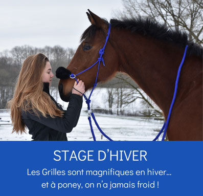 Equitation à poney et cheval, stage d'hiver aux Grilles