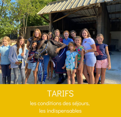 Stages poney et cheval : le coin des enfants