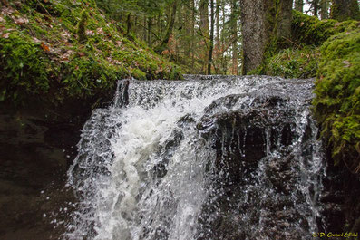 Kleiner Wasserfall im Schwäbischen Wald