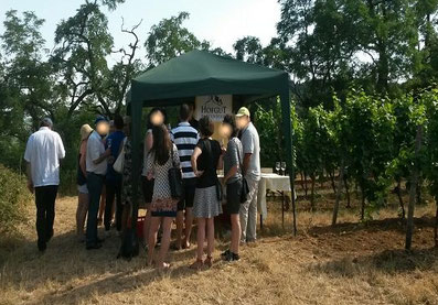 Weingut