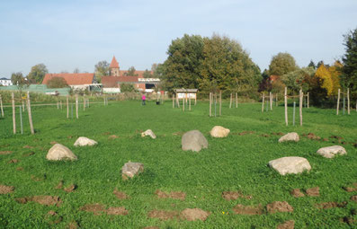 Apfelallee Streuobstwiese Achimer Marsch