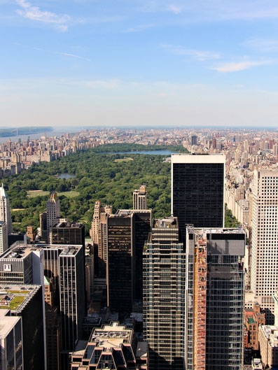 View of Central Park NYC