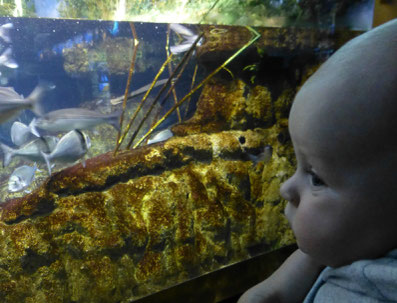 Travel Baby Barcelona