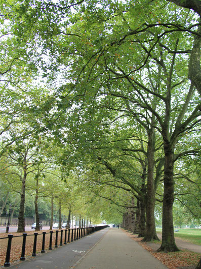 Green Park London