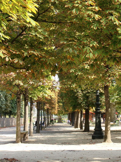 Jardins des Tuileries Paris