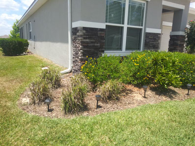 landscaping before