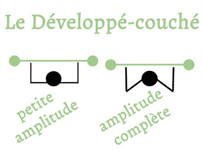 comparaison des amplitudes lors d'un développé-couché.