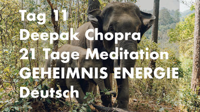 healthconsult-hcx.ch, Tag 11 der 21-Tage Meditation Geheimnis Energie, Deepak Chopra