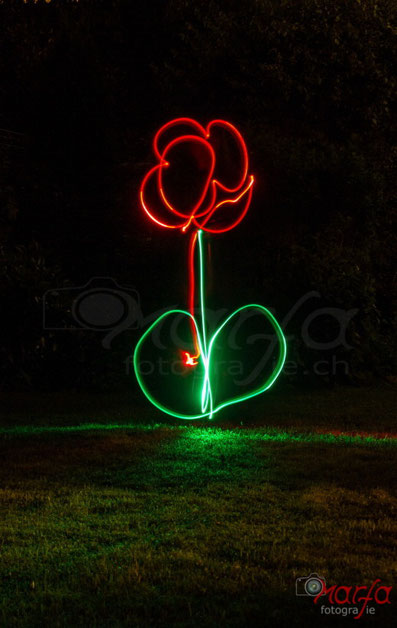 Lightpainting Blume