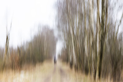 Spaziergang im Moor