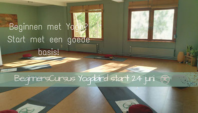 beginnerscursus yoga in gouda afbeelding van studio yogabird op goudasfalt